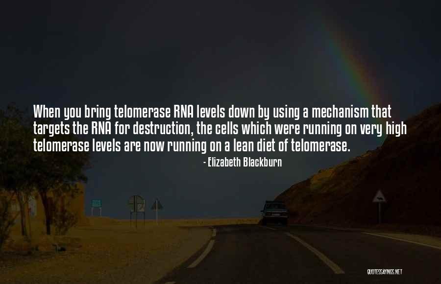 Elizabeth Blackburn Quotes 959440 Elizabeth Blackburn Quotes 959440