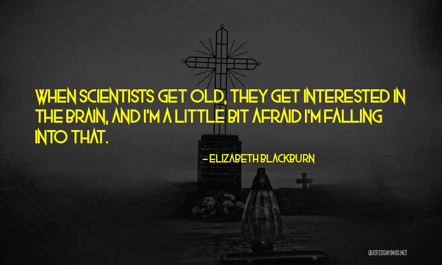 Elizabeth Blackburn Quotes 97529 Elizabeth Blackburn Quotes 97529