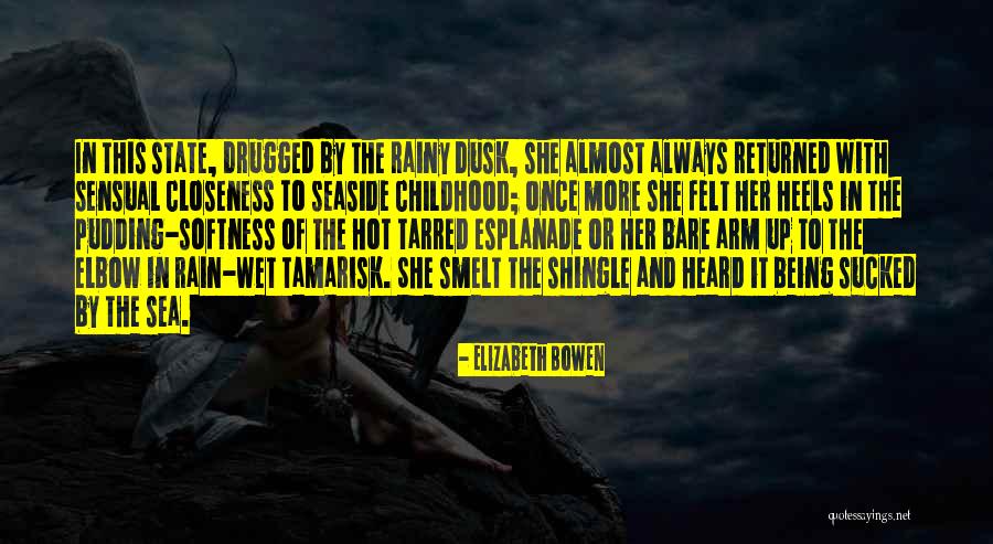 Elizabeth Bowen Quotes 254155 Elizabeth Bowen Quotes 254155