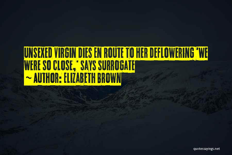 Elizabeth Brown Quotes 473353