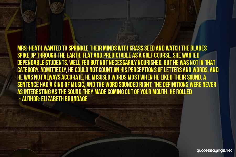 Elizabeth Brundage Quotes 1855079