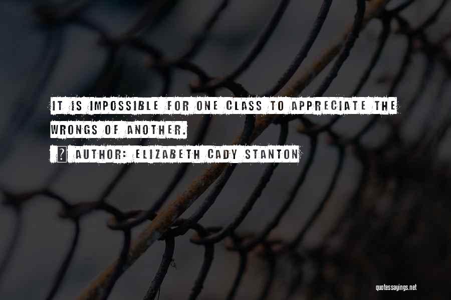 Elizabeth Cady Stanton Quotes 1132430