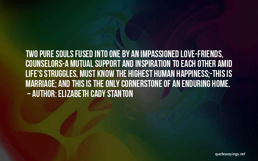 Elizabeth Cady Stanton Quotes 1345188
