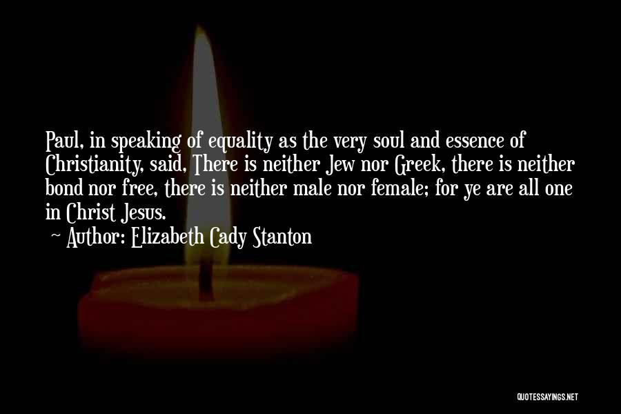 Elizabeth Cady Stanton Quotes 1363892