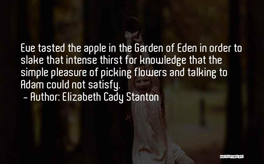 Elizabeth Cady Stanton Quotes 1397344