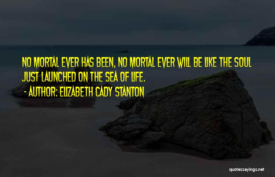 Elizabeth Cady Stanton Quotes 1438731