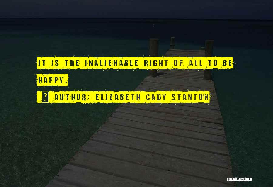 Elizabeth Cady Stanton Quotes 1706003
