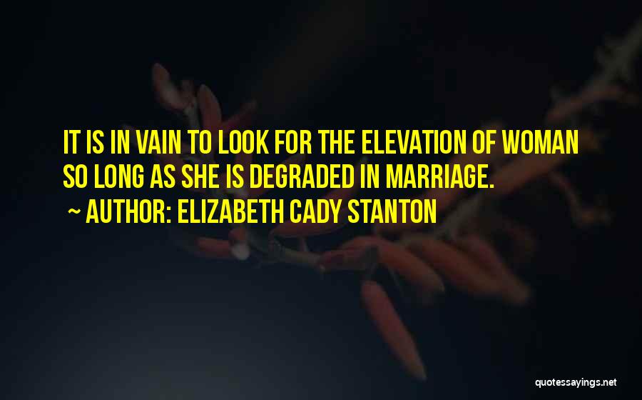 Elizabeth Cady Stanton Quotes 1779673