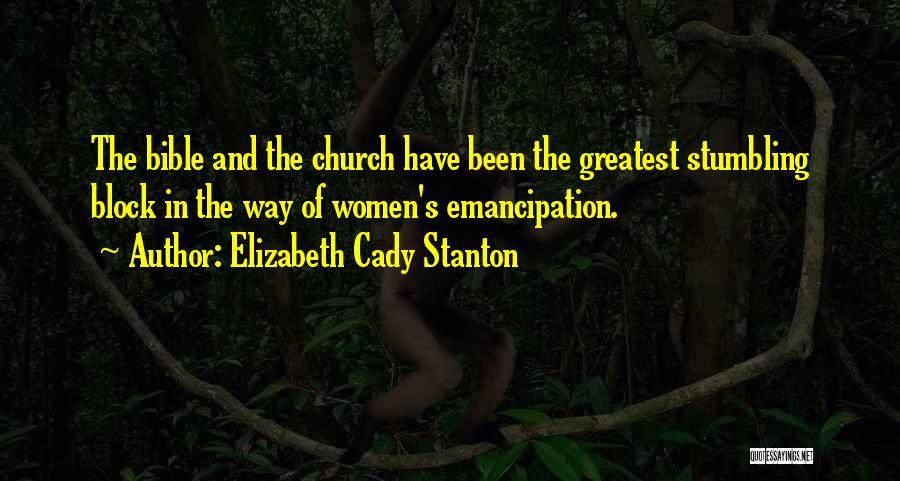 Elizabeth Cady Stanton Quotes 1822277