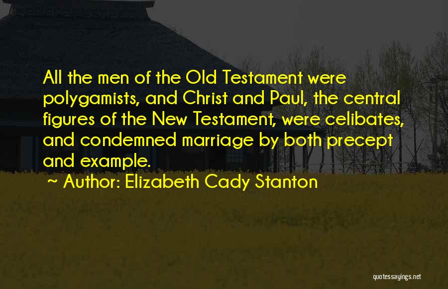 Elizabeth Cady Stanton Quotes 204465