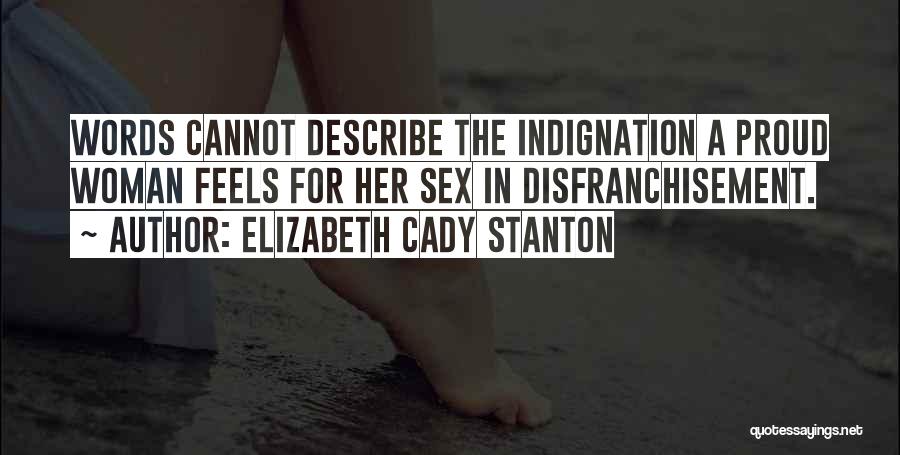 Elizabeth Cady Stanton Quotes 2141570