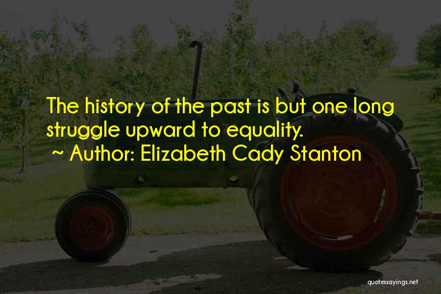 Elizabeth Cady Stanton Quotes 2153573