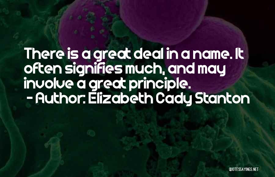 Elizabeth Cady Stanton Quotes 276396