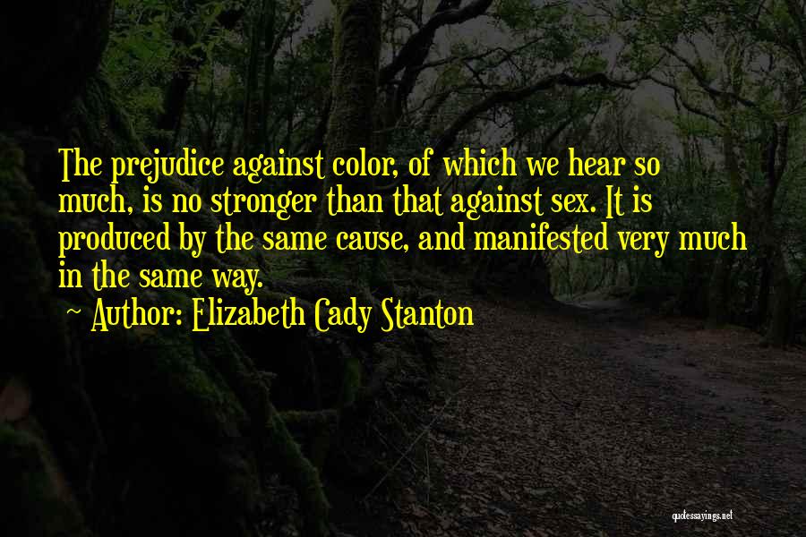 Elizabeth Cady Stanton Quotes 322737