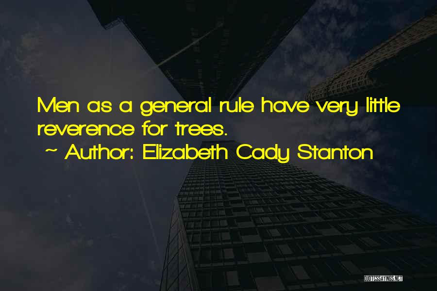 Elizabeth Cady Stanton Quotes 424163