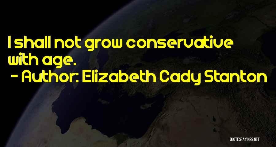 Elizabeth Cady Stanton Quotes 840653