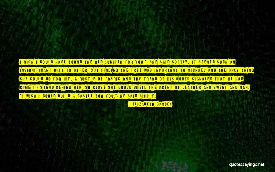Elizabeth Camden Quotes 1317572 Elizabeth Camden Quotes 1317572