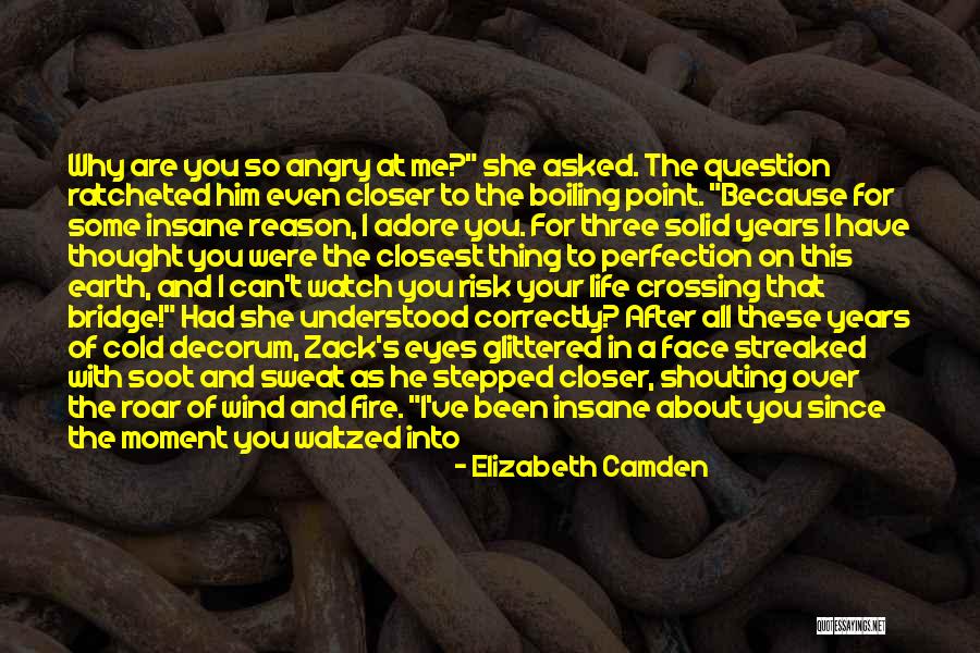 Elizabeth Camden Quotes 1631920