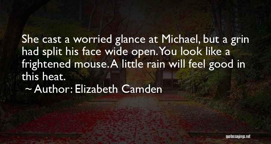 Elizabeth Camden Quotes 183959