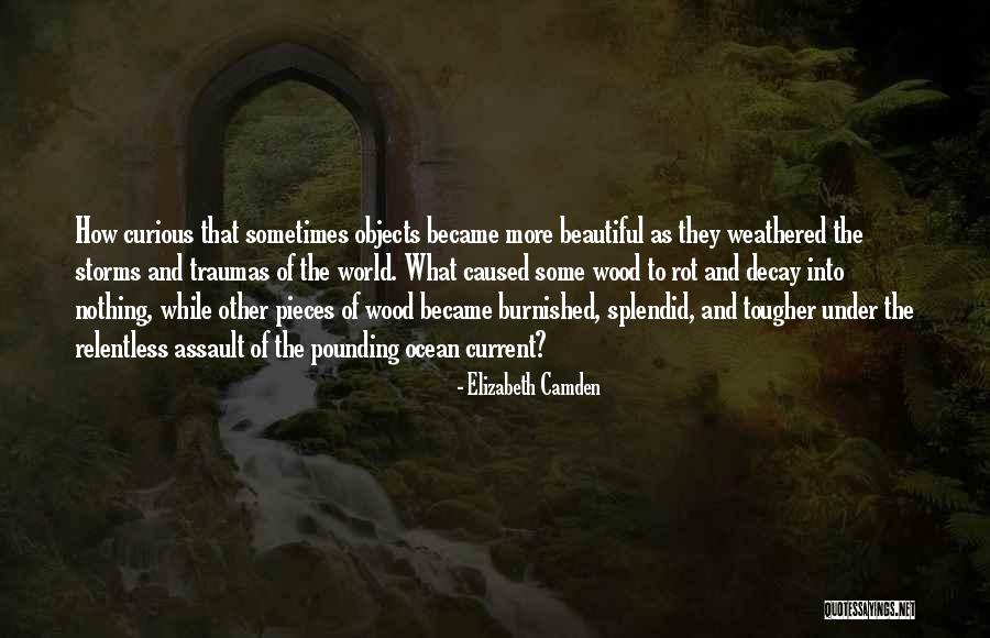 Elizabeth Camden Quotes 2082033