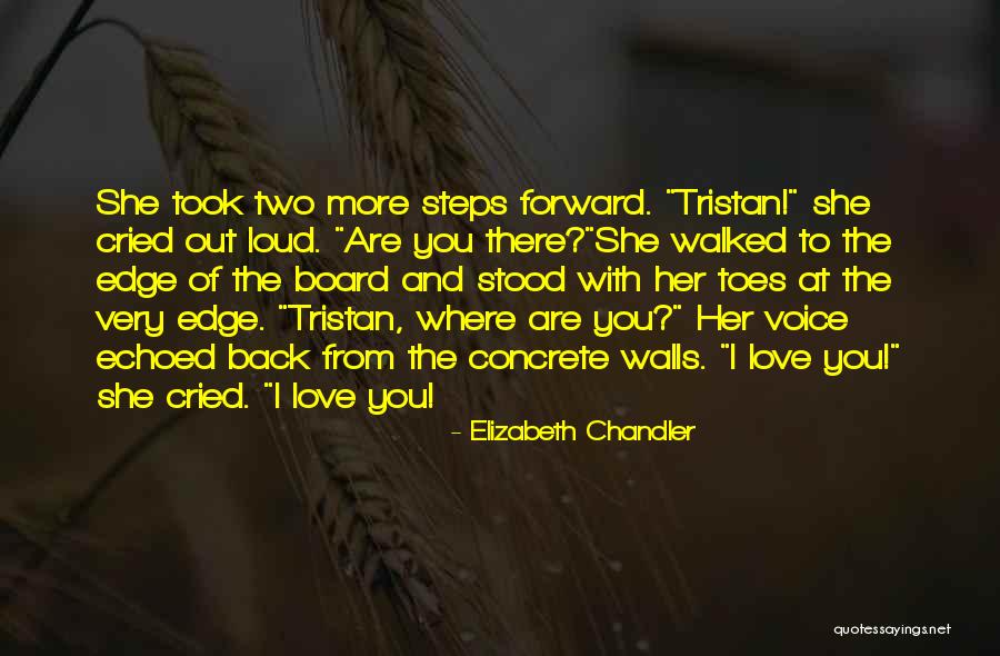 Elizabeth Chandler Quotes 1162430