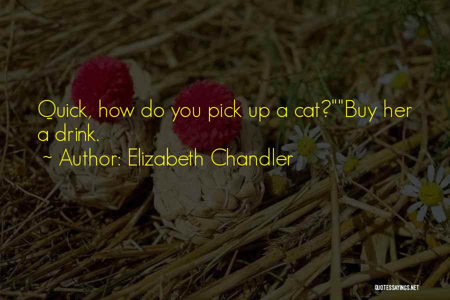 Elizabeth Chandler Quotes 1434342