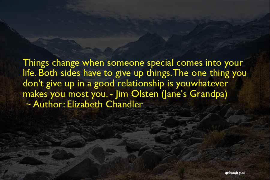 Elizabeth Chandler Quotes 1462940