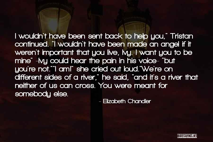 Elizabeth Chandler Quotes 1585967