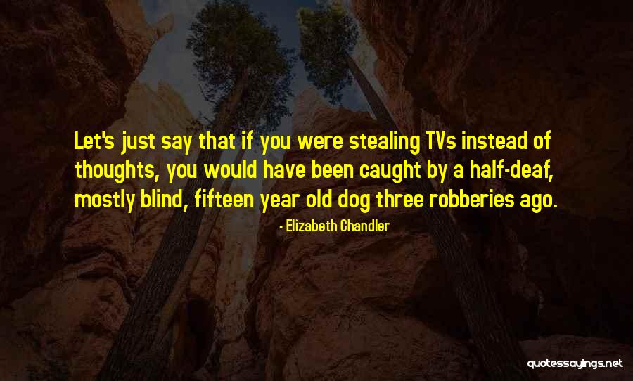 Elizabeth Chandler Quotes 178832