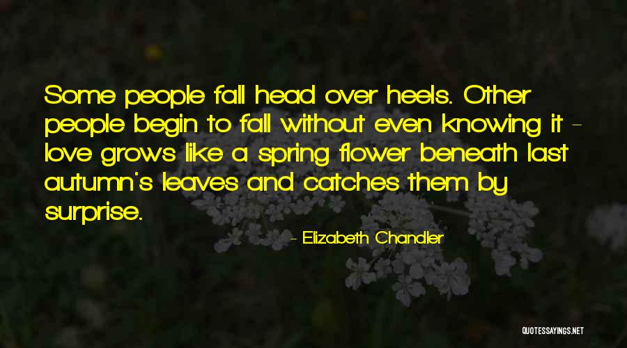 Elizabeth Chandler Quotes 1803894