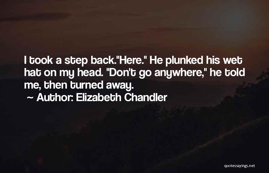 Elizabeth Chandler Quotes 1908107