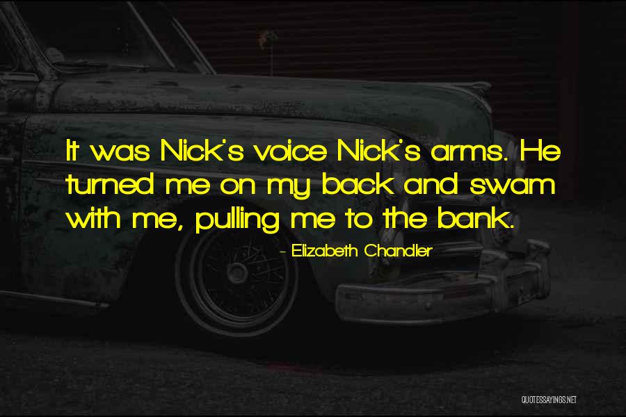 Elizabeth Chandler Quotes 233362