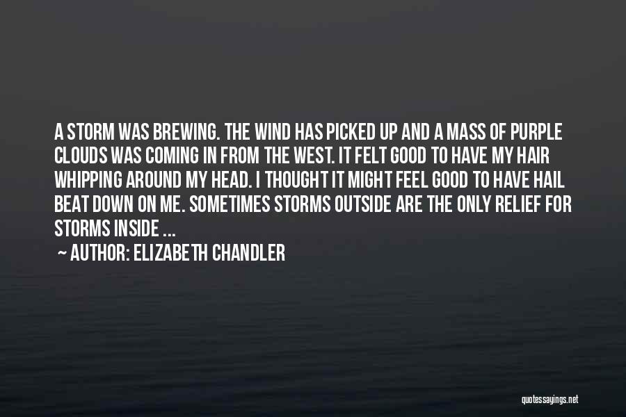 Elizabeth Chandler Quotes 440287