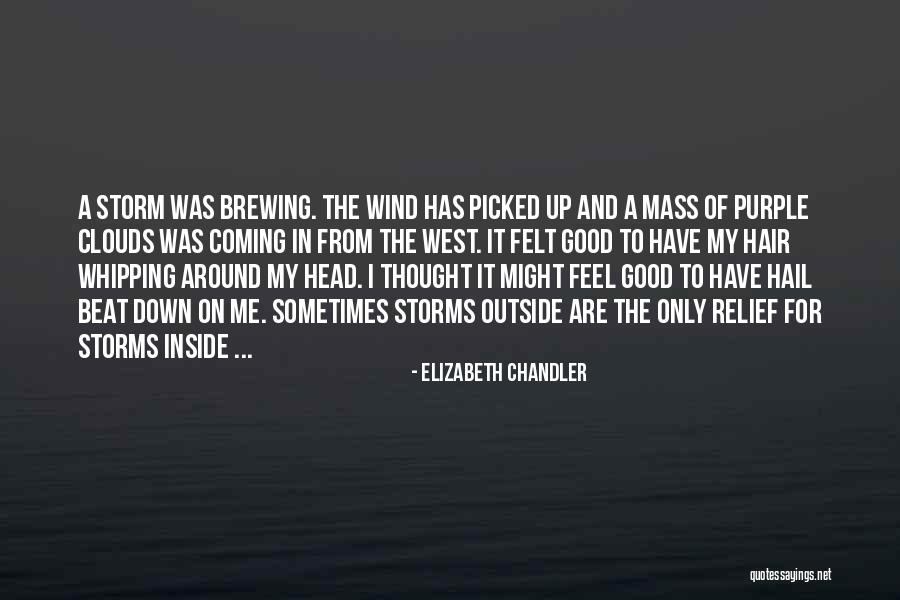 Elizabeth Chandler Quotes 440287