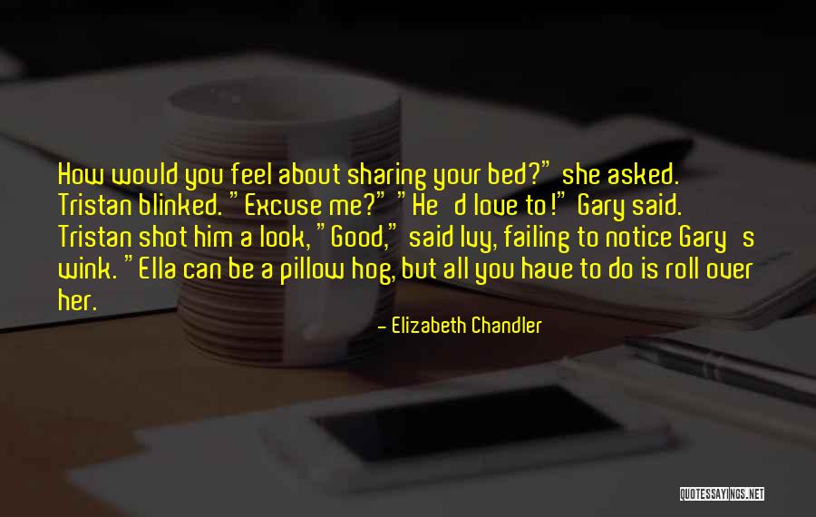 Elizabeth Chandler Quotes 489146