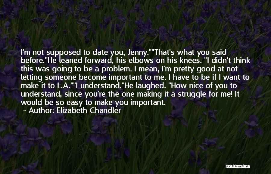 Elizabeth Chandler Quotes 689055