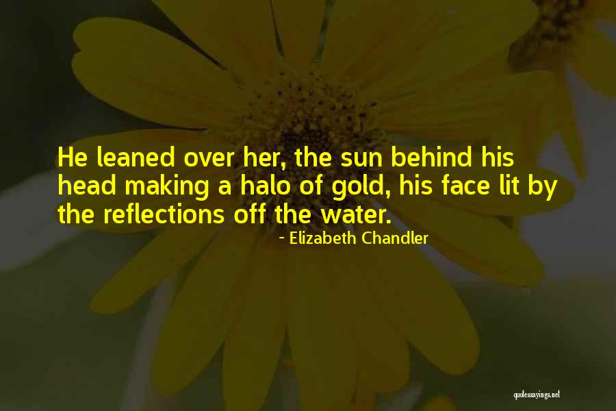 Elizabeth Chandler Quotes 862496