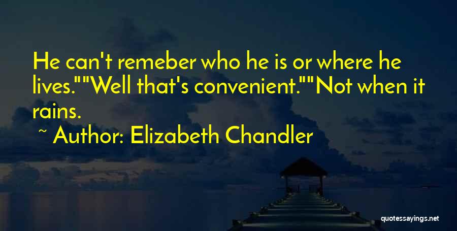 Elizabeth Chandler Quotes 954348