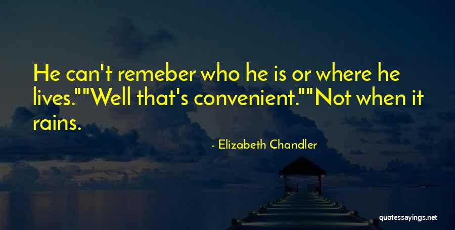 Elizabeth Chandler Quotes 954348