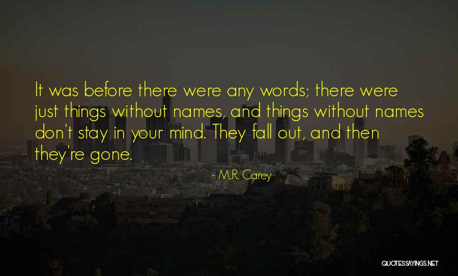 Elizabeth Chaney Quotes By M.R. Carey Elizabeth Chaney Quotes By M.R. Carey