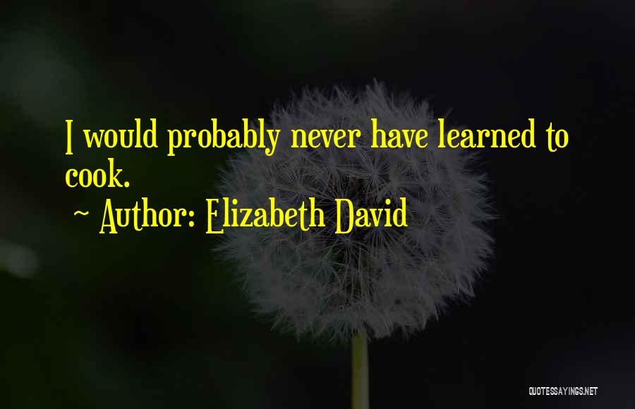 Elizabeth David Quotes 175473