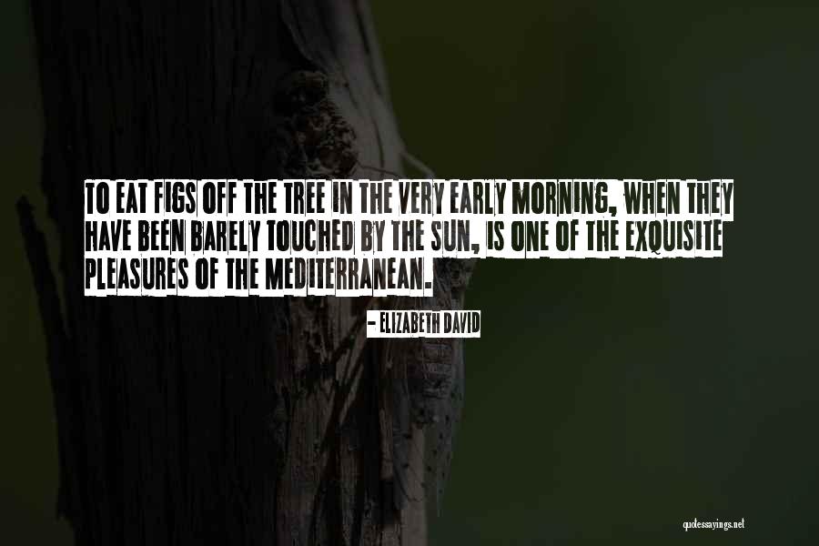 Elizabeth David Quotes 1916542 Elizabeth David Quotes 1916542
