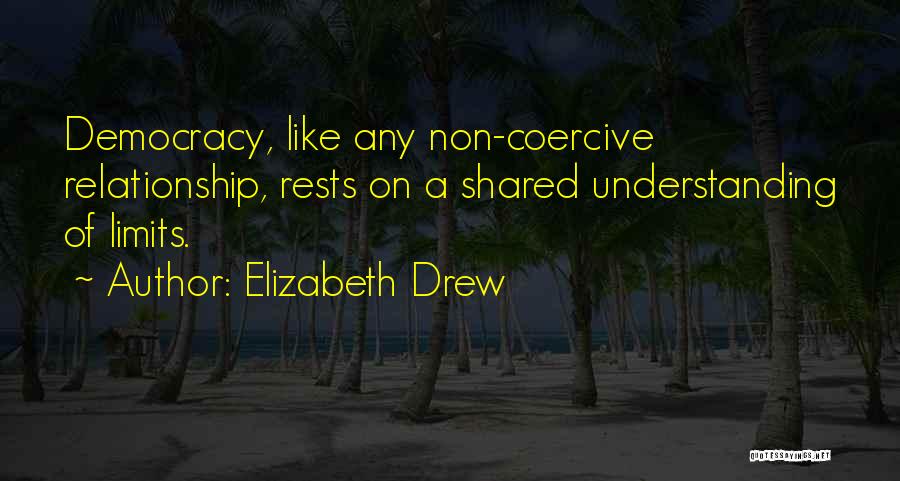 Elizabeth Drew Quotes 725572