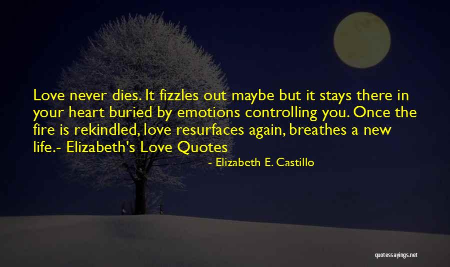 Elizabeth E. Castillo Quotes 1390309