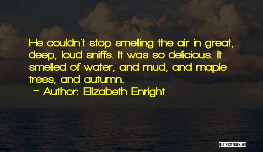 Elizabeth Enright Quotes 1381932