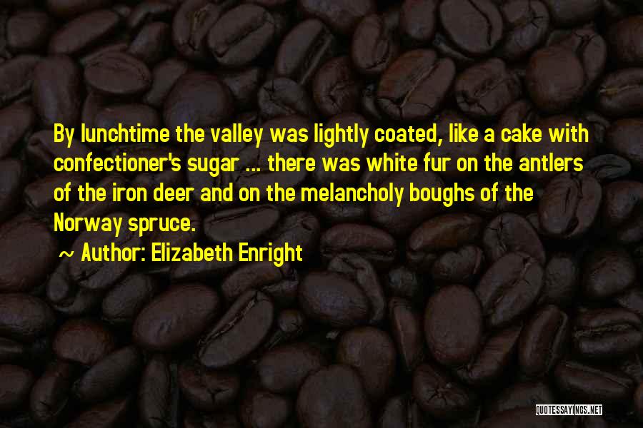 Elizabeth Enright Quotes 1650010