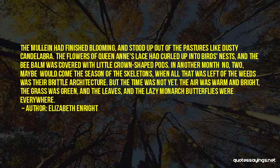 Elizabeth Enright Quotes 215276