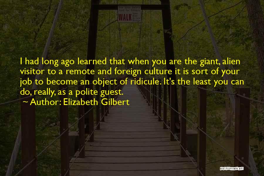 Elizabeth Gilbert Quotes 354949