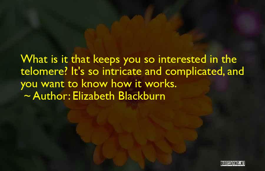 Elizabeth H Blackburn Quotes By Elizabeth Blackburn