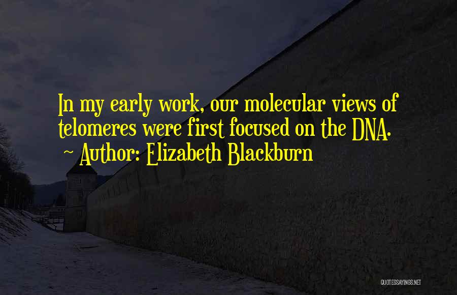 Elizabeth H Blackburn Quotes By Elizabeth Blackburn